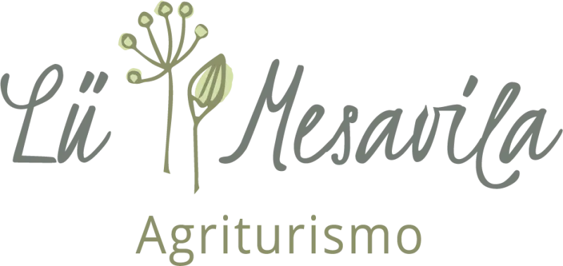 Logo Mesavila