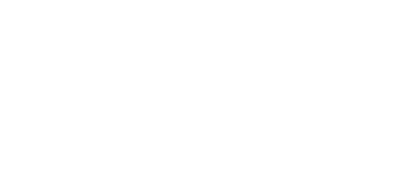 Logo Santifaller Photography